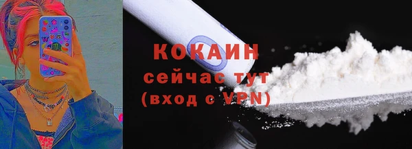 прущие грибы Арсеньев