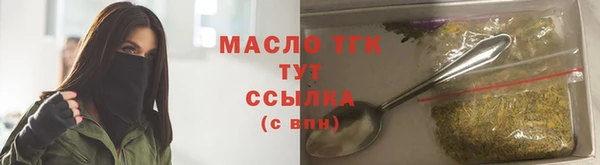 тгк Пересвет