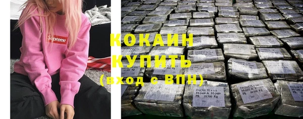 стаф Баксан