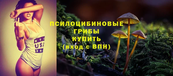 прущие грибы Арсеньев