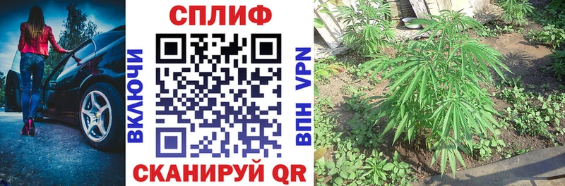 продажа наркотиков  МЕГА ссылки  Конопля гибрид  Сортавала 